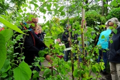 Baumpflanzaktion-Bönningstedt-Citizens-Forests-1