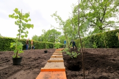 Baumpflanzaktion-Bönningstedt-Citizens-Forests-5