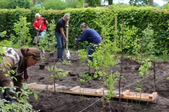 Baumpflanzaktion-Bönningstedt-Citizens-Forests-6
