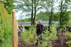 Baumpflanzaktion-Bönningstedt-Citizens-Forests-8