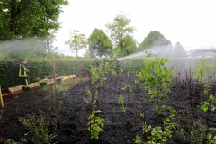 Baumpflanzaktion-Bönningstedt-Citizens-Forests-9