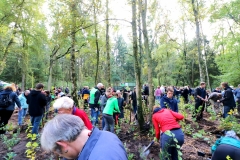 Baumpflanzaktion-in-Bönningstedt-zum-Einheitsbuddeln-Citizens-Forests