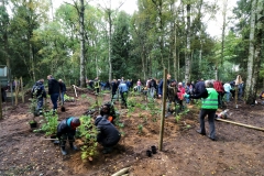 Einheitsbuddeln-Citizens-Forests