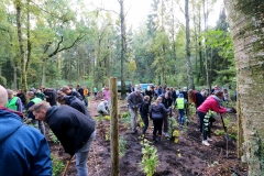 Einheitsbuddeln-in-Bönningstedt-Citizens-Forests