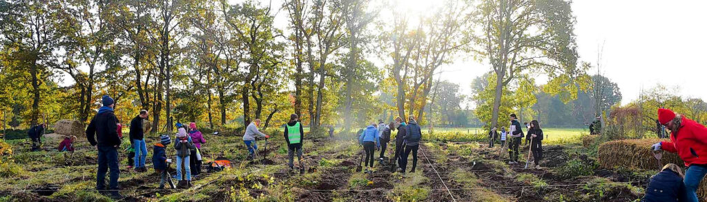 Mitmachen beim Aufforsten