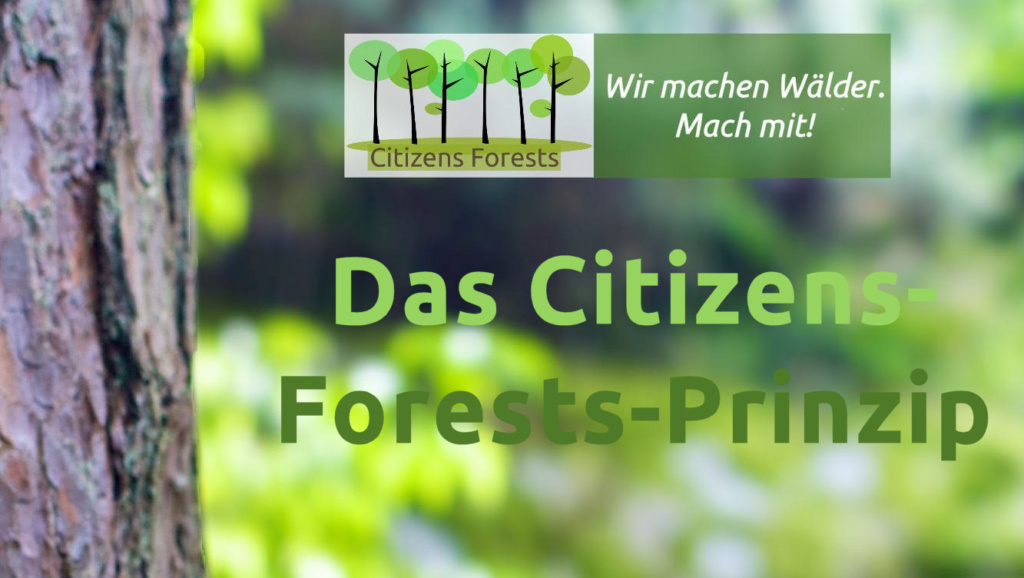 Allgemeiner Teil unserer Infoabende als Video