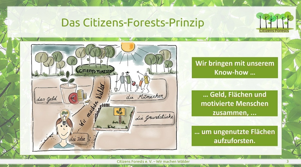 Online-Infoabend – live oder aus der Konserve