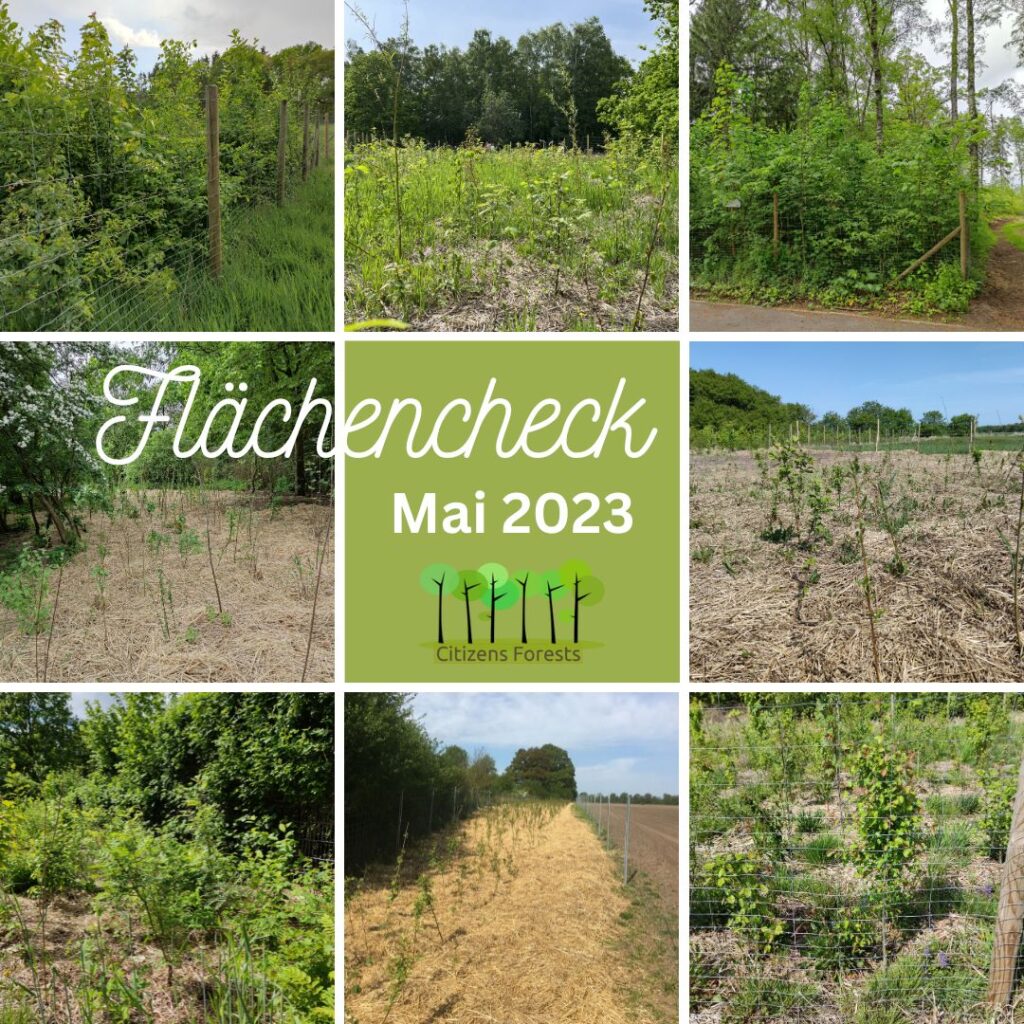 Flächencheck 2023