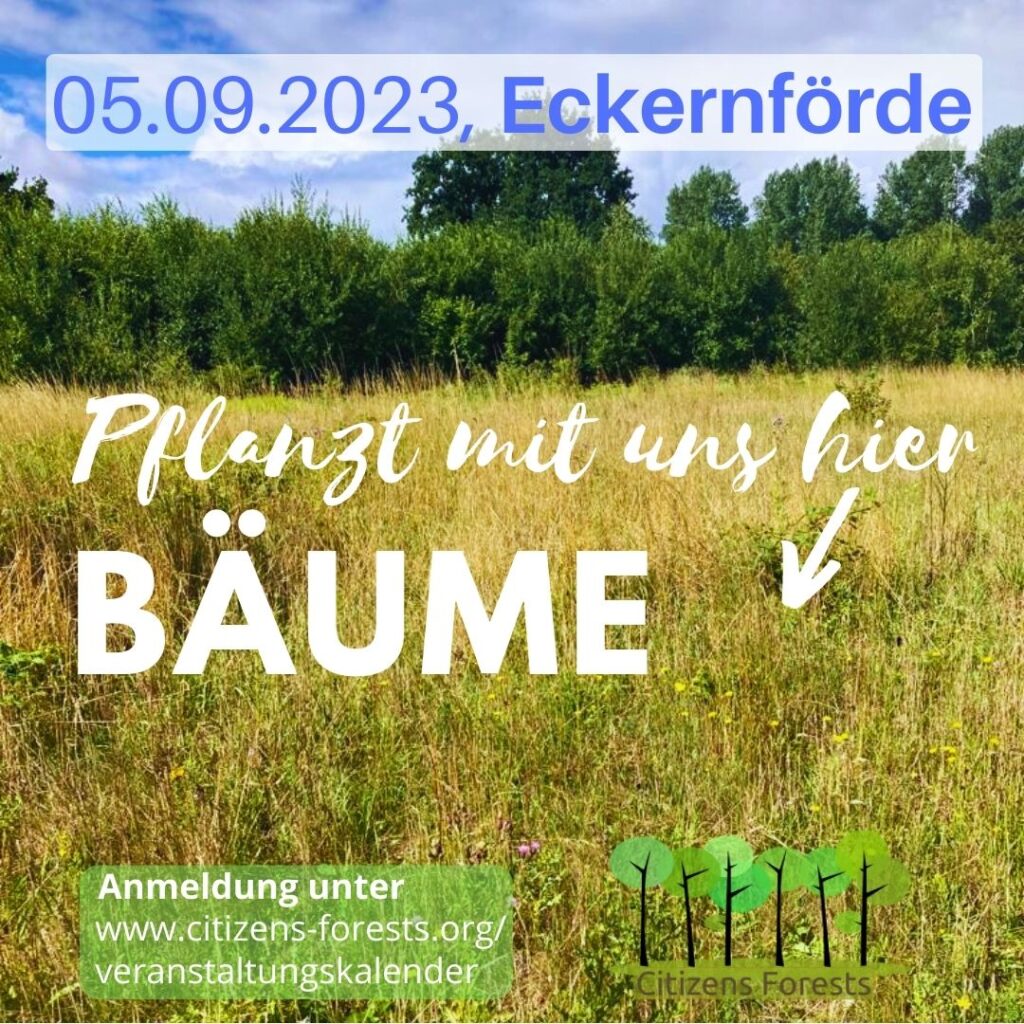 Ein Tiny Forest für Eckernförde