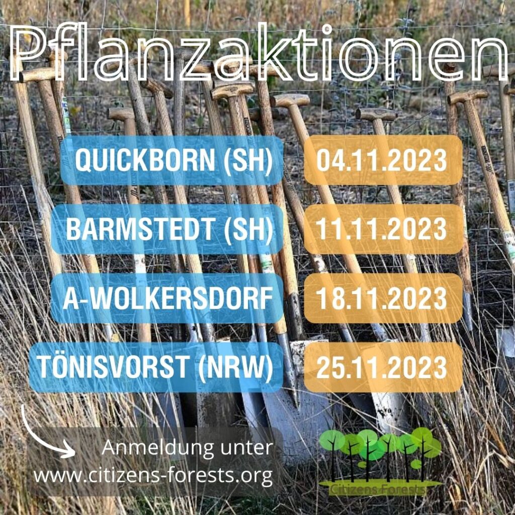 Pflanztermine im November