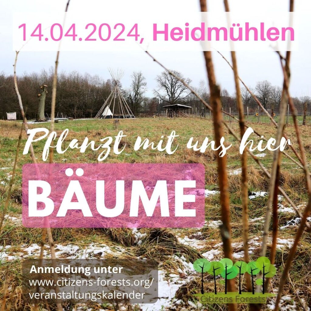 Pflanzaktionen im Frühjahr