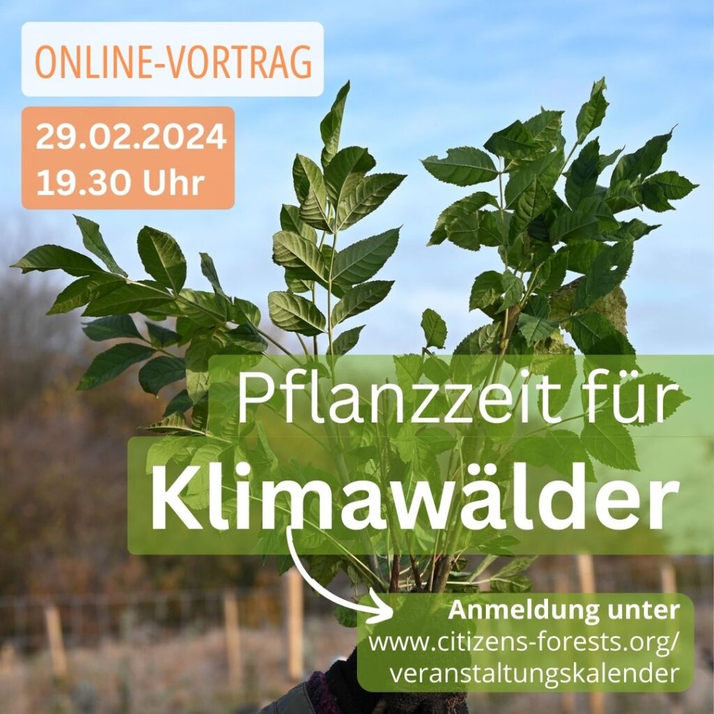 Online-Vorträge zu Mini-Wäldern