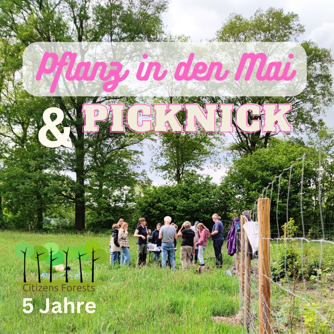 Online-Vorträge zu Mini-Wäldern