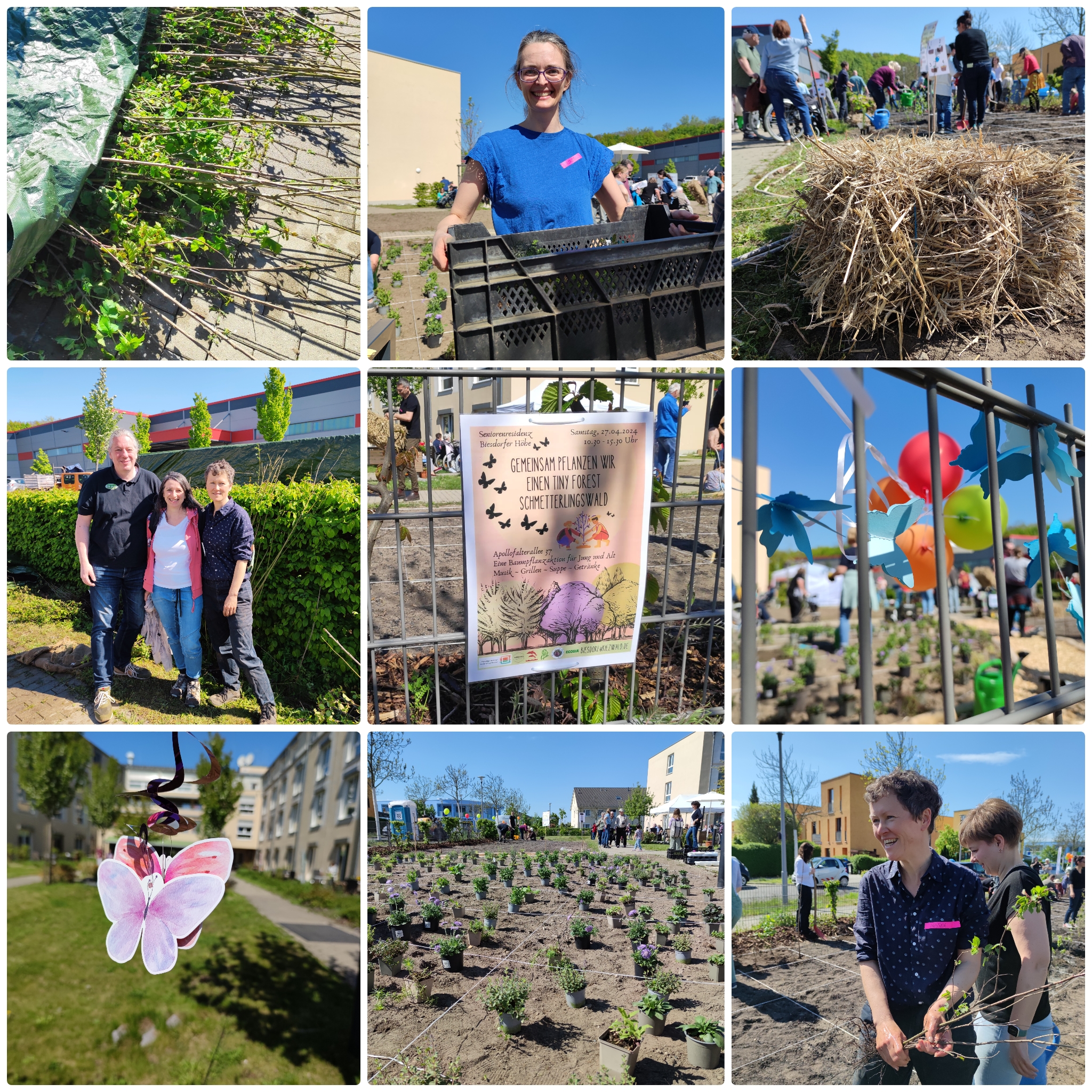 Collage_Schmetterlingswald_Berlin_20240427