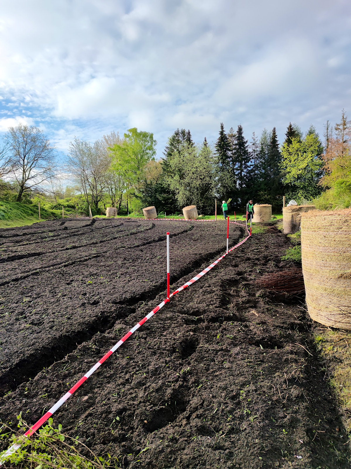 Miyawakiwald am Holstenstadion in Quickborn