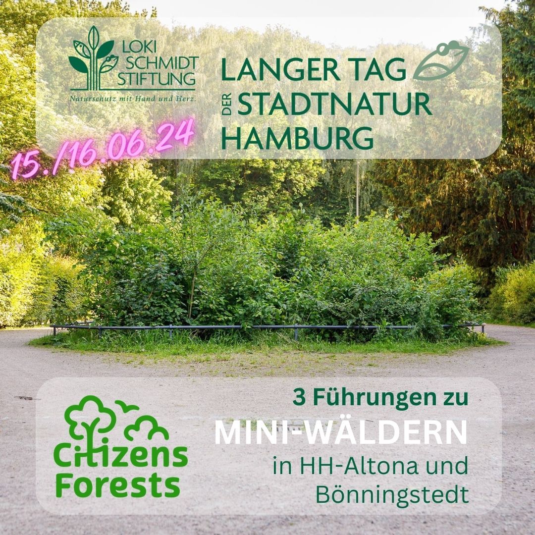 Langer Tag der StadtNatur Hamburg