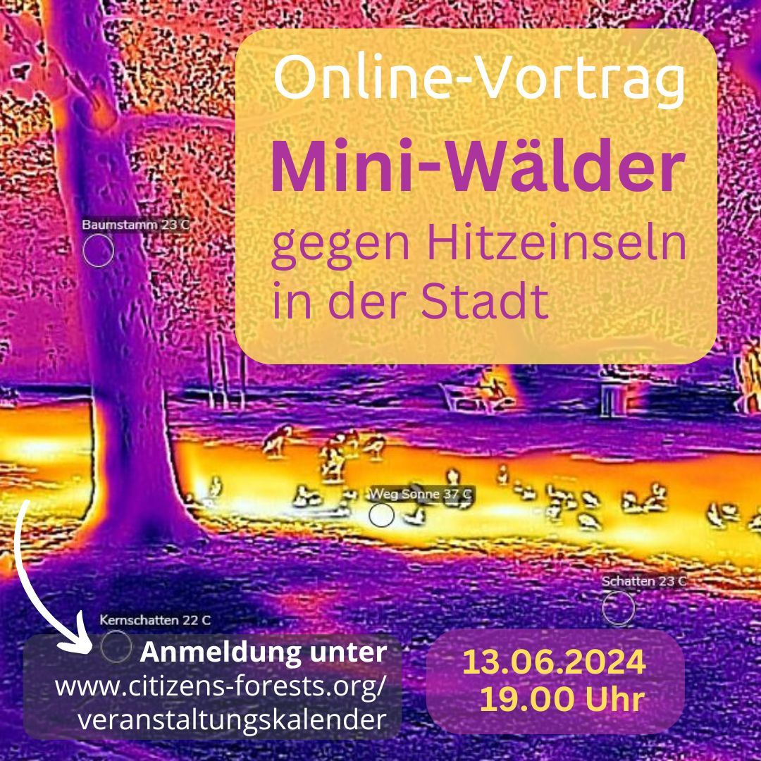 Online-Vorträge zu Mini-Wäldern