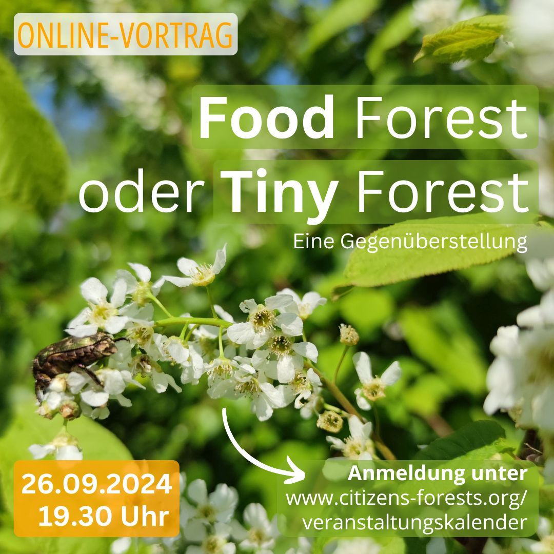 Onlinevortraege