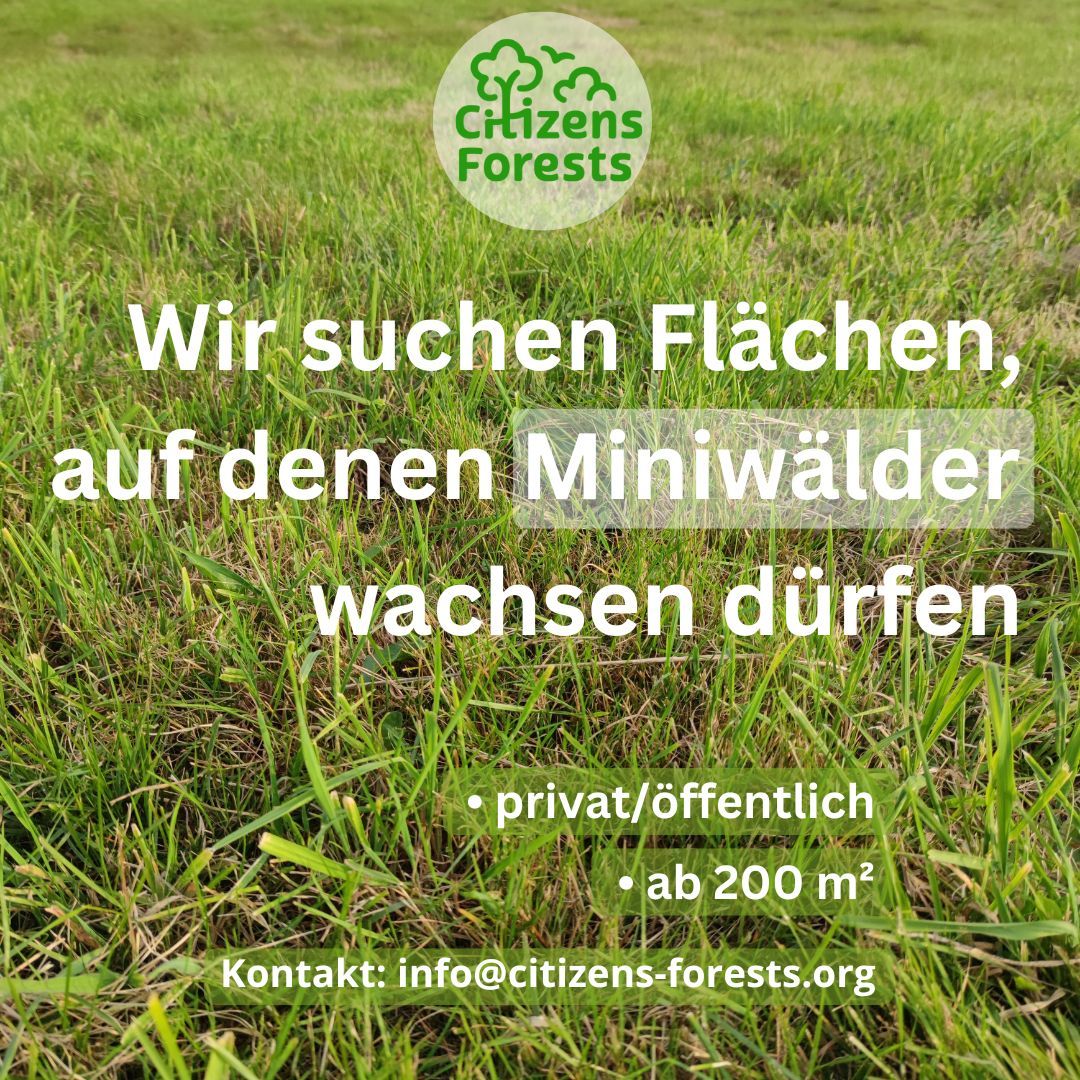 Flaechen gesucht