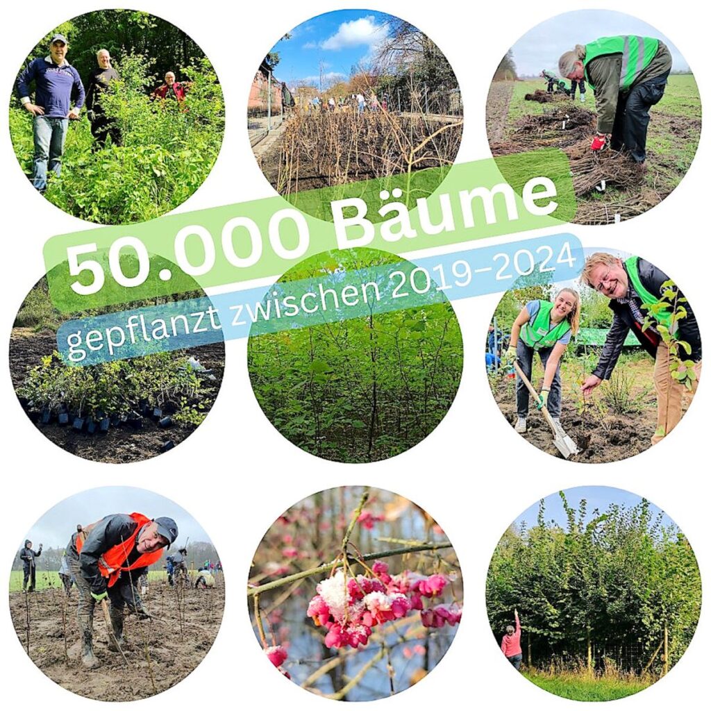 50.000 Bäume gepflanzt