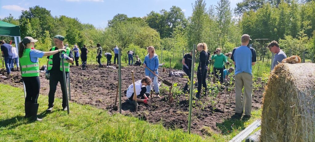 Miniwald in Elmshorn/Klein Offenseth-Sparrieshoop