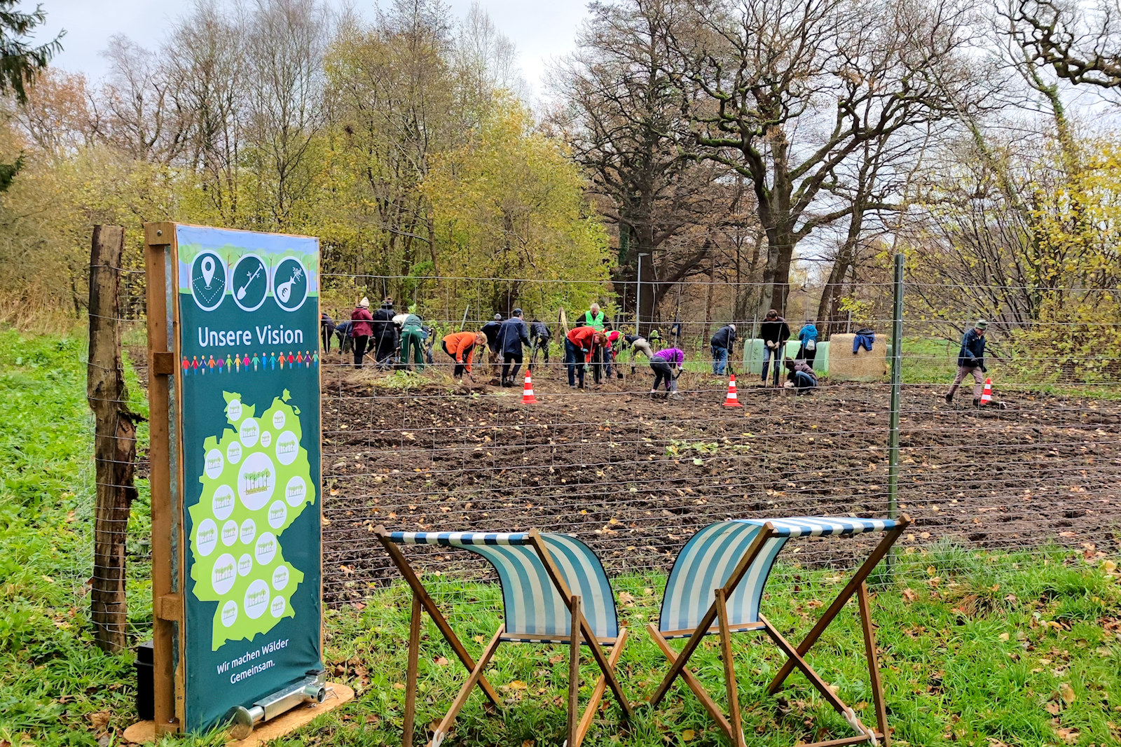 Pfanzaktion in Bargfeld Stegen Miyawakiwald