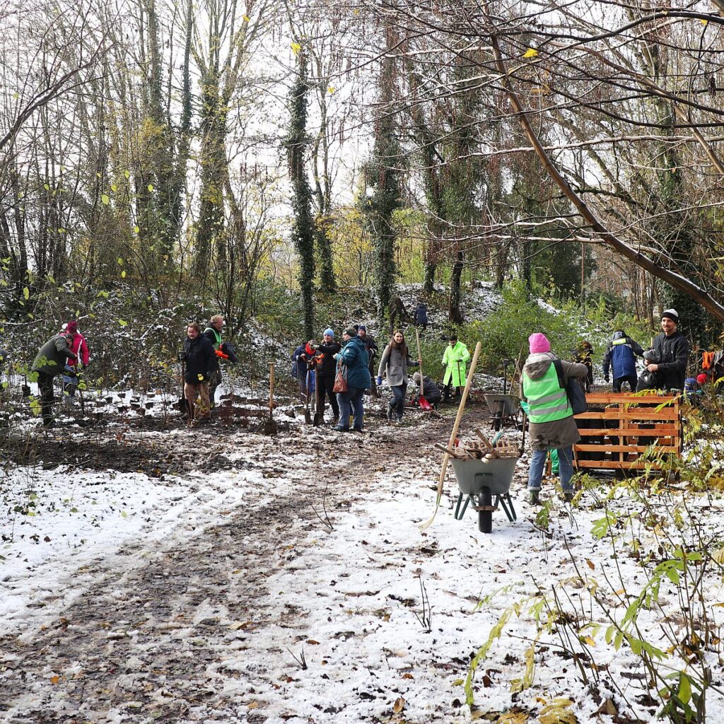 Pflanzung im Eichtalpark (Hamburg-Wandsbek)