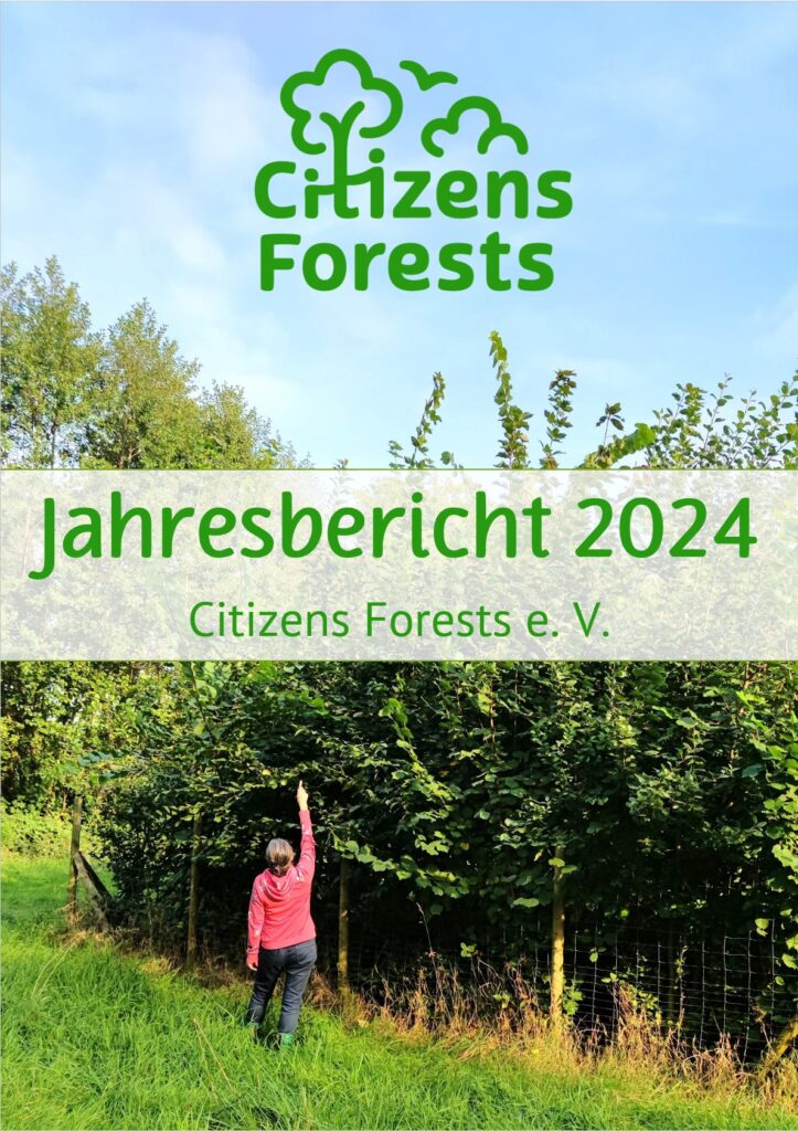 Jahresbericht 2024