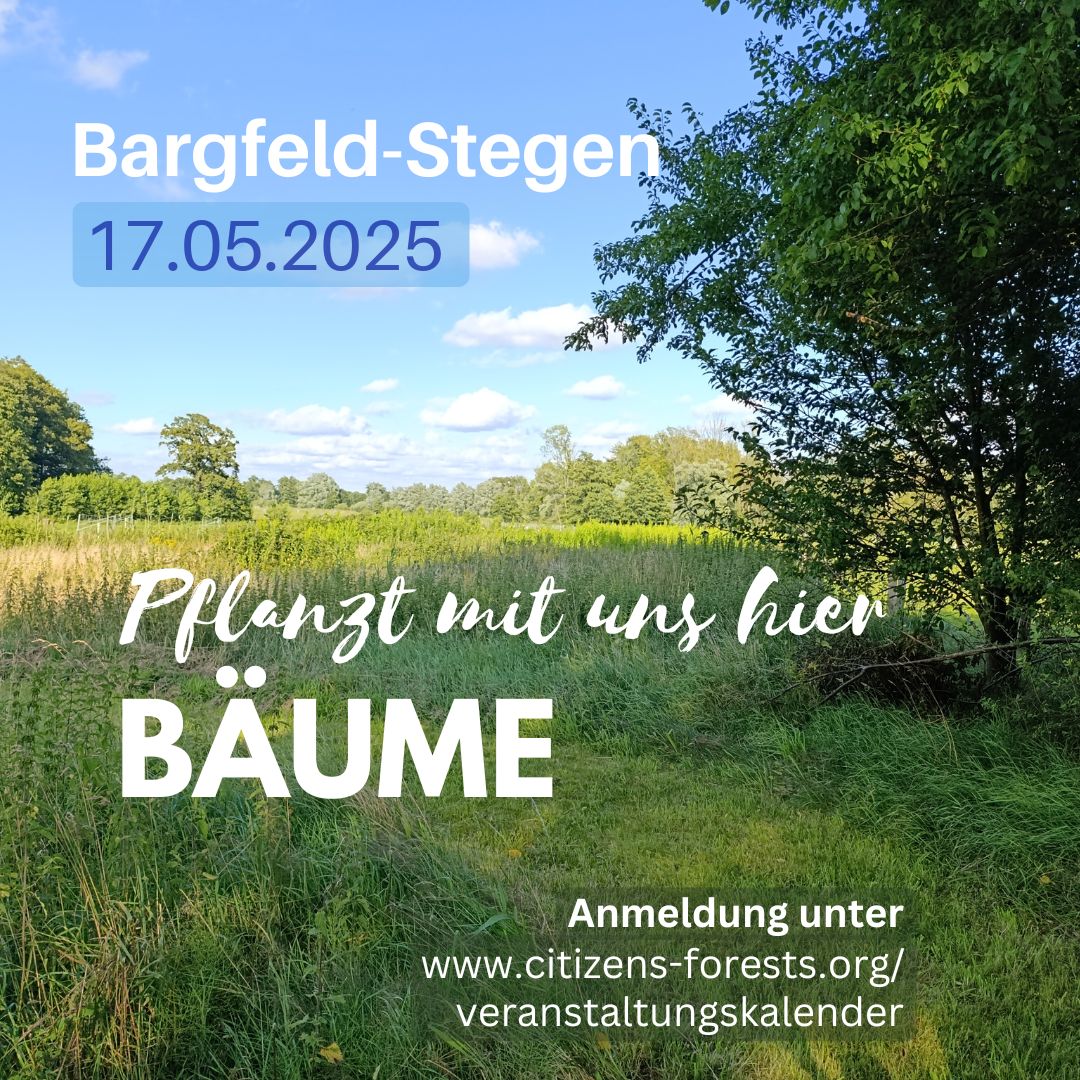 Pflanzaktion in Bargfeld-Stegen