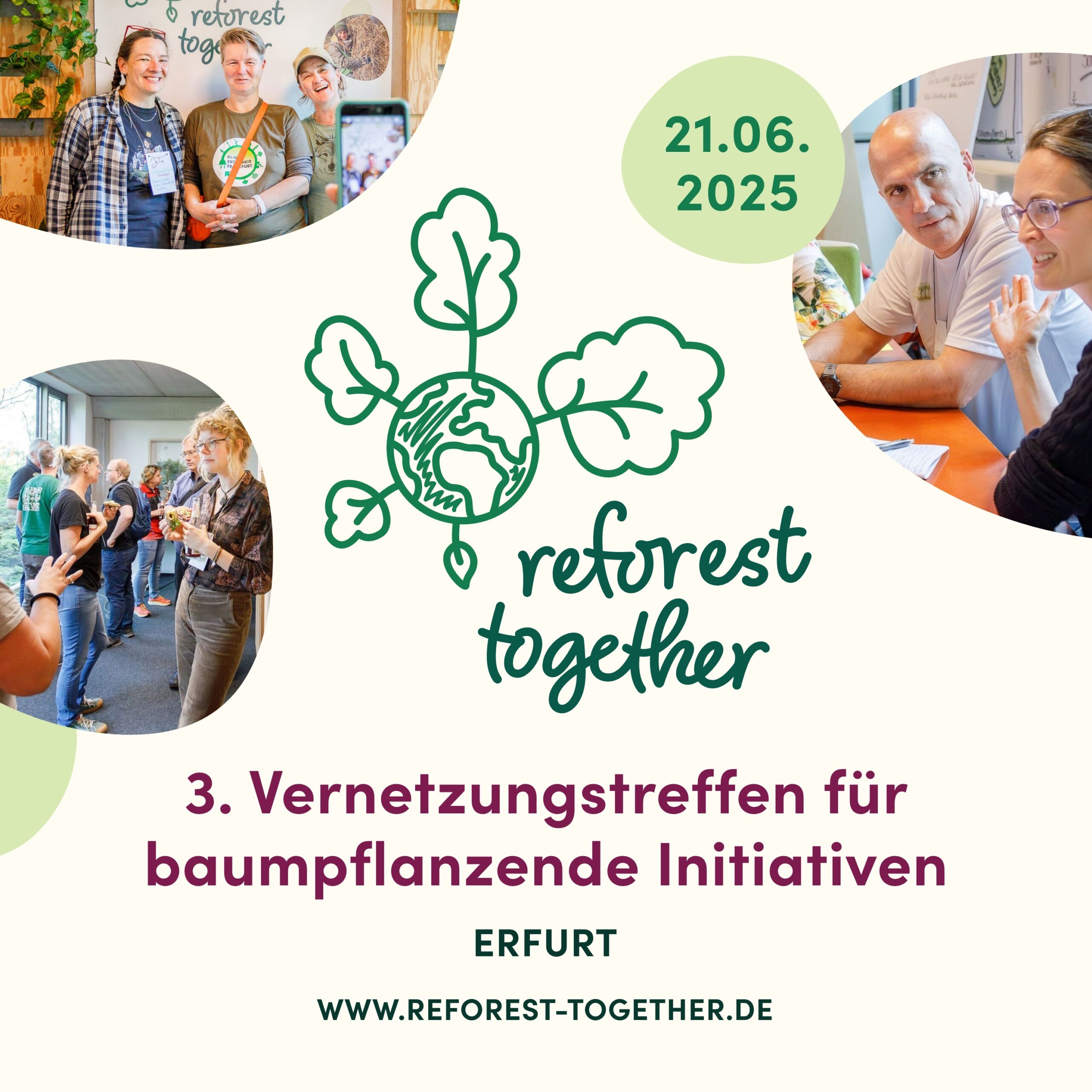 reforest together 2025