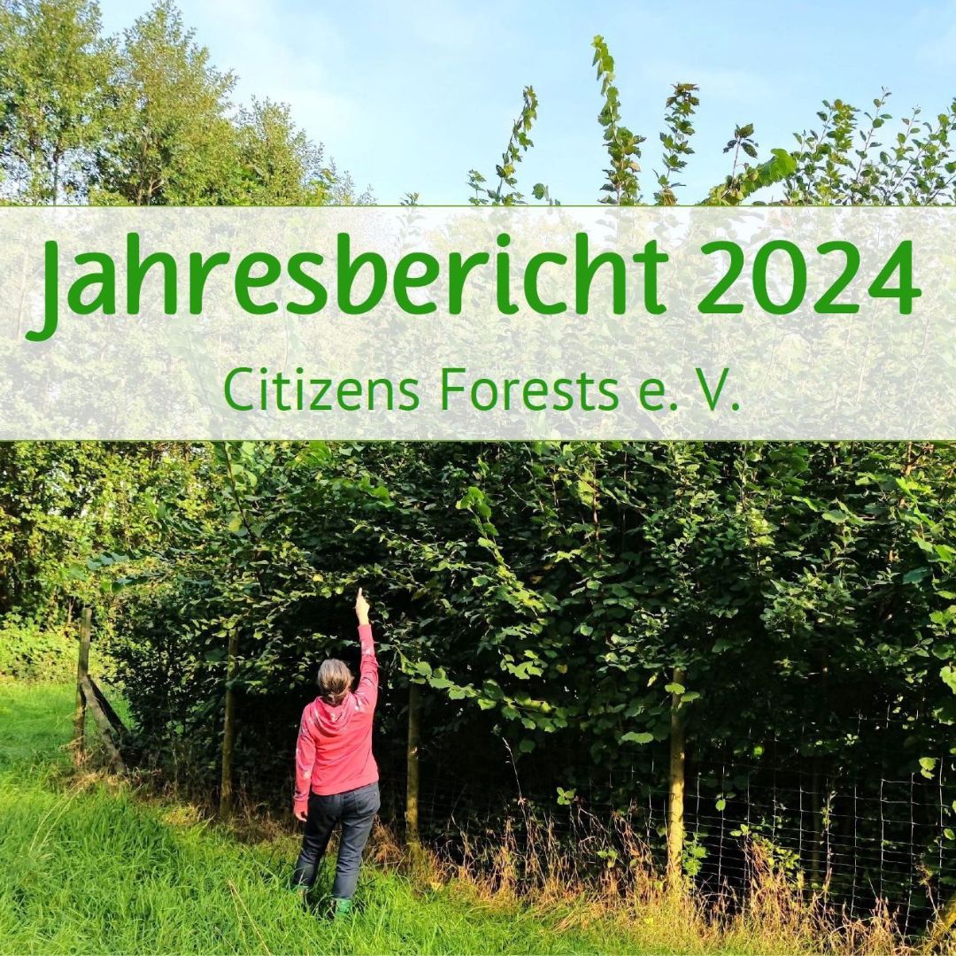 Jahresbericht