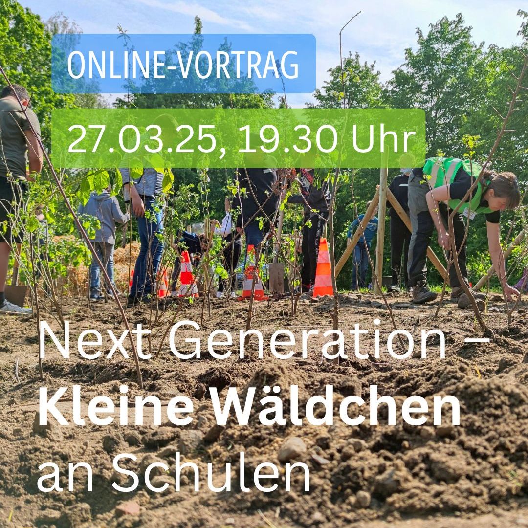 Onlinevortrag