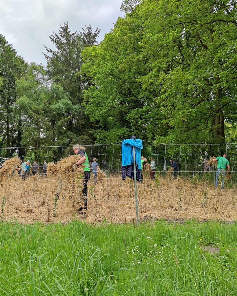 Bargfeld Stegen – Miniwald auf Gut Stegen