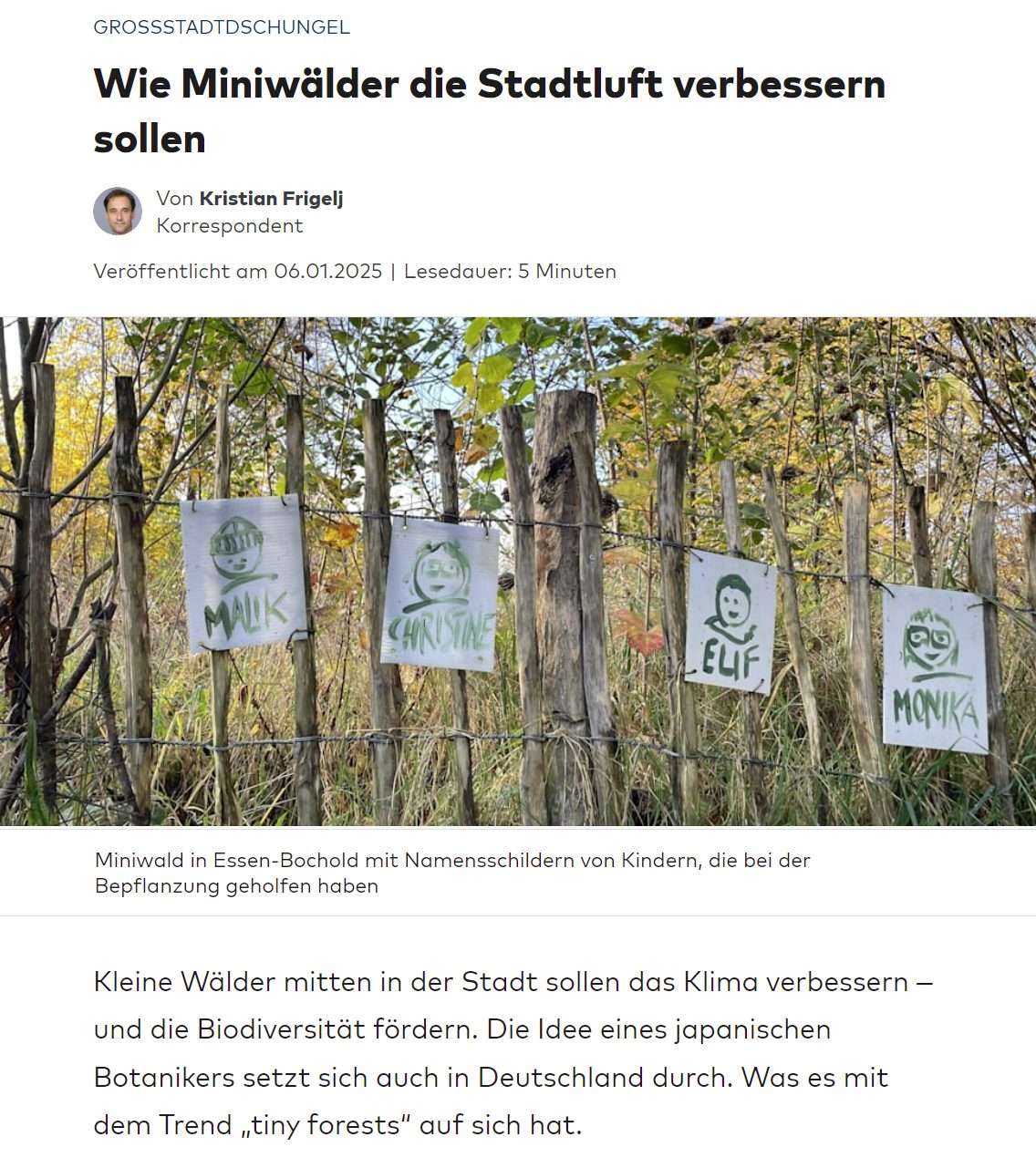 Welt 06.01.2025