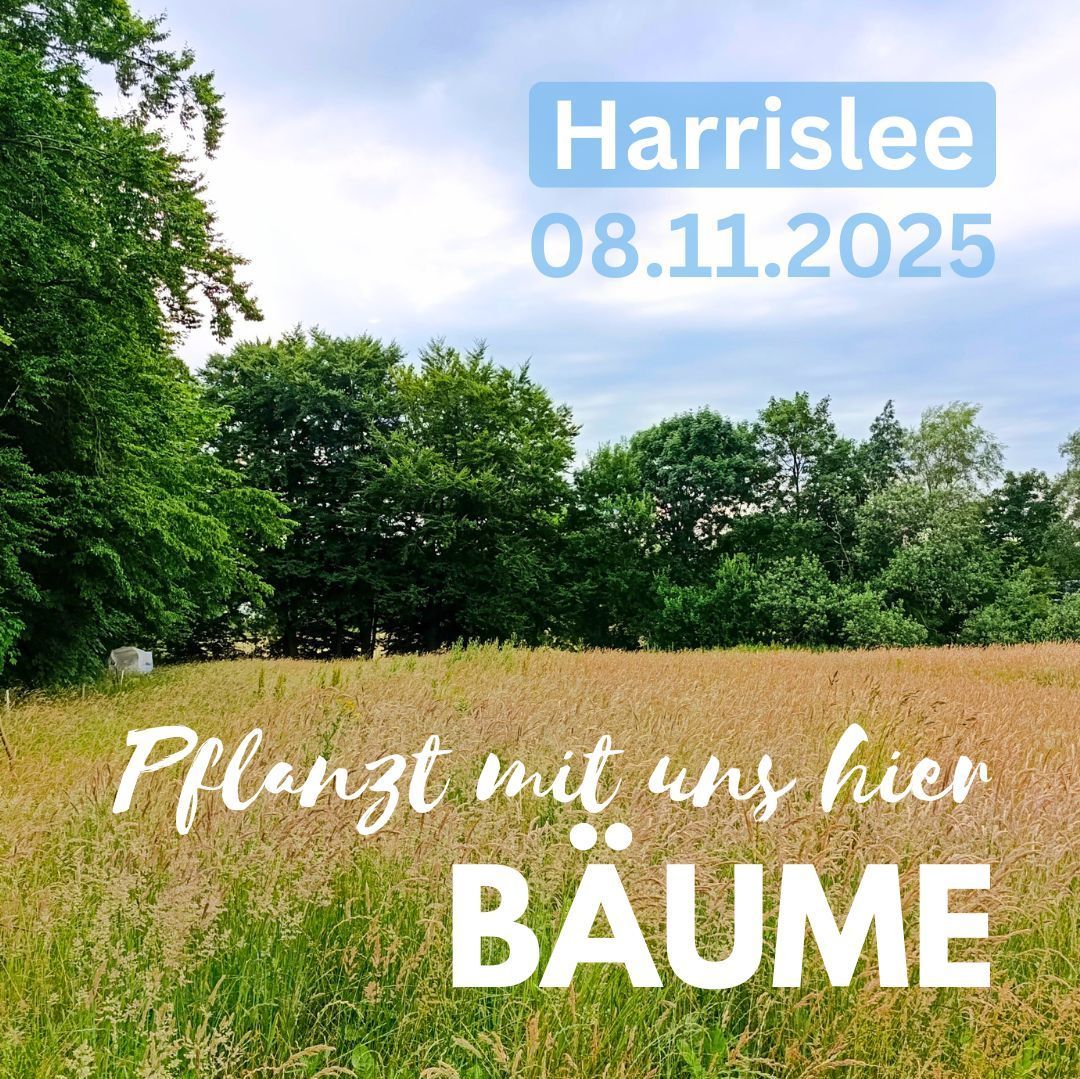 Pflanzaktion Harrislee bei Flensburg
