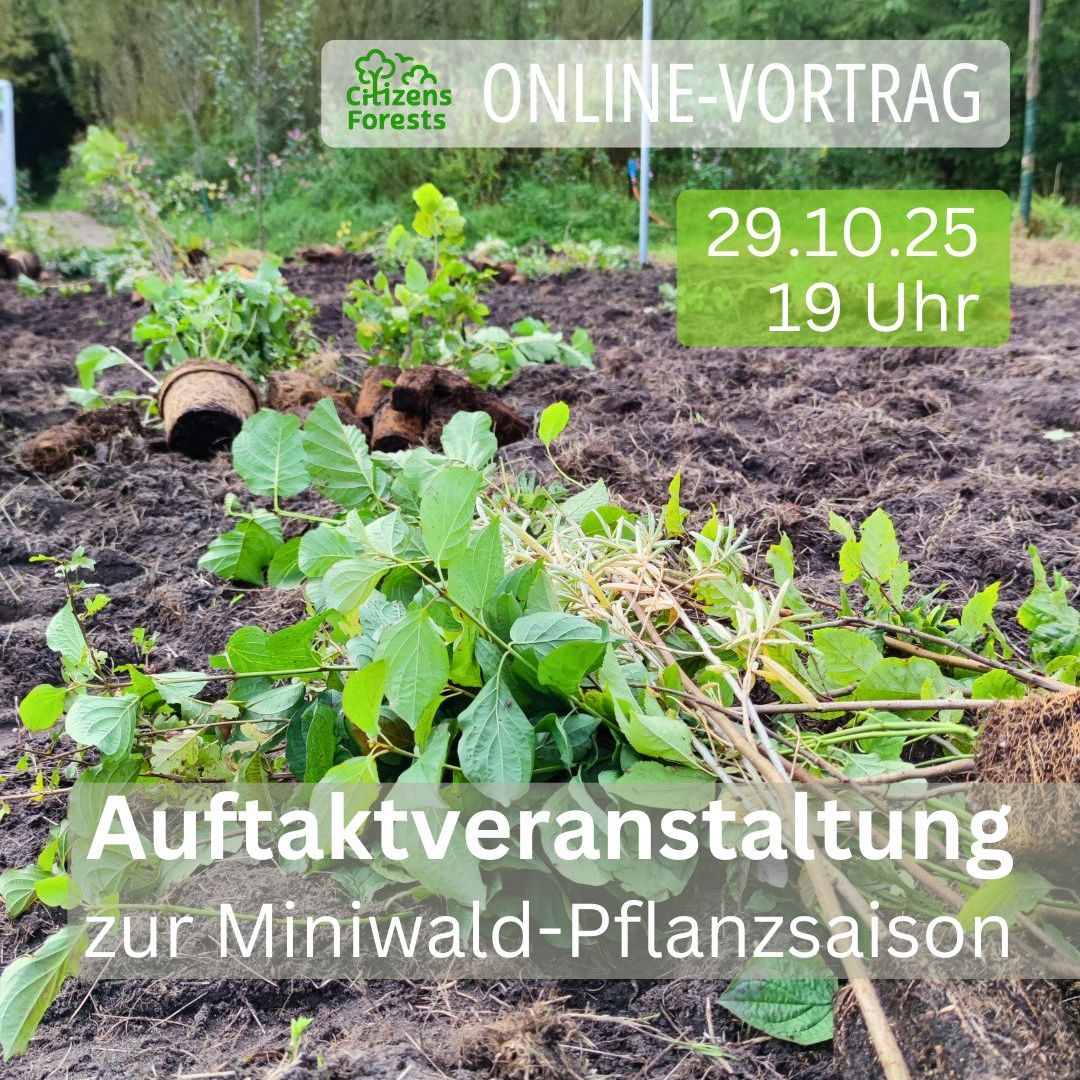 Onlinevortrag: Auftakt zur Pflanzsaison