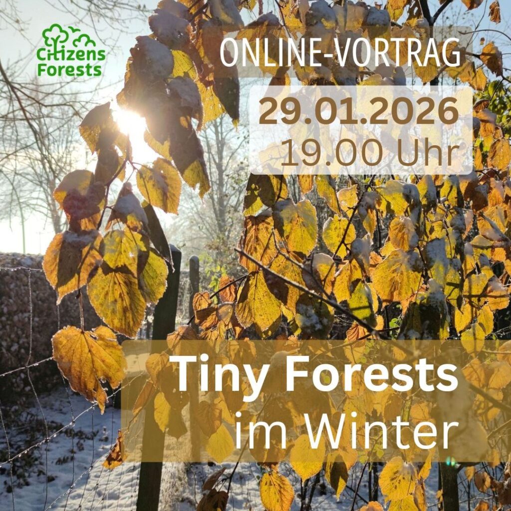 Online-Vortrag im Januar