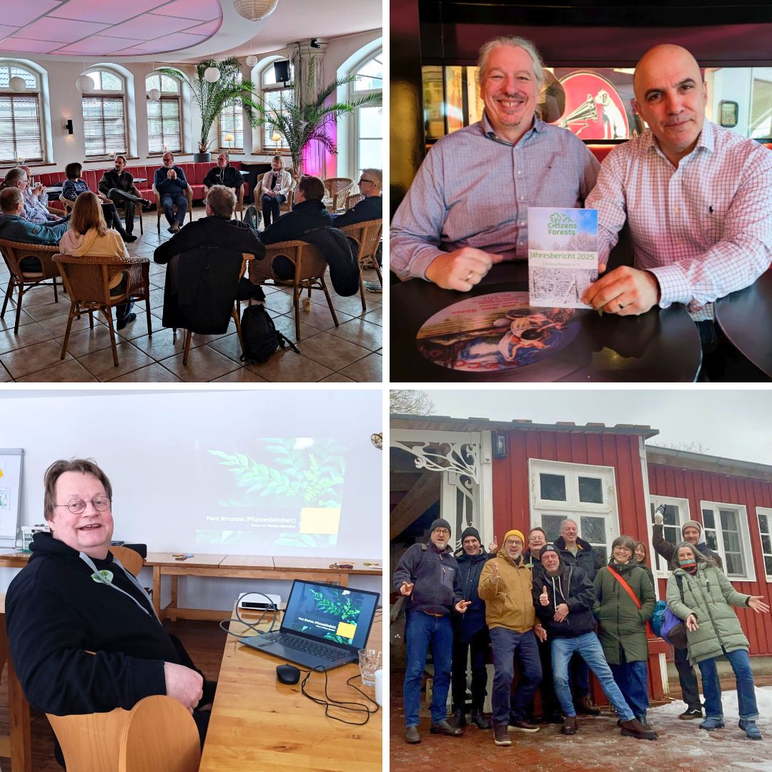 Mitgliederversammlung Citizens Forests 2026