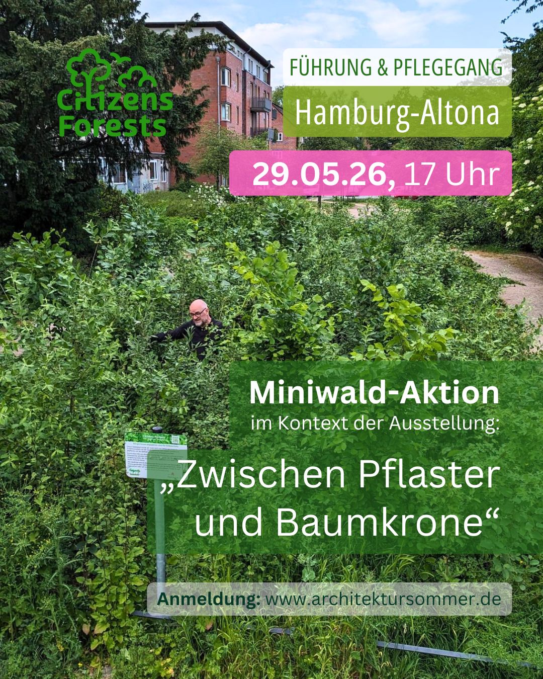 Miniwald-Aktion zum Architektur Sommer