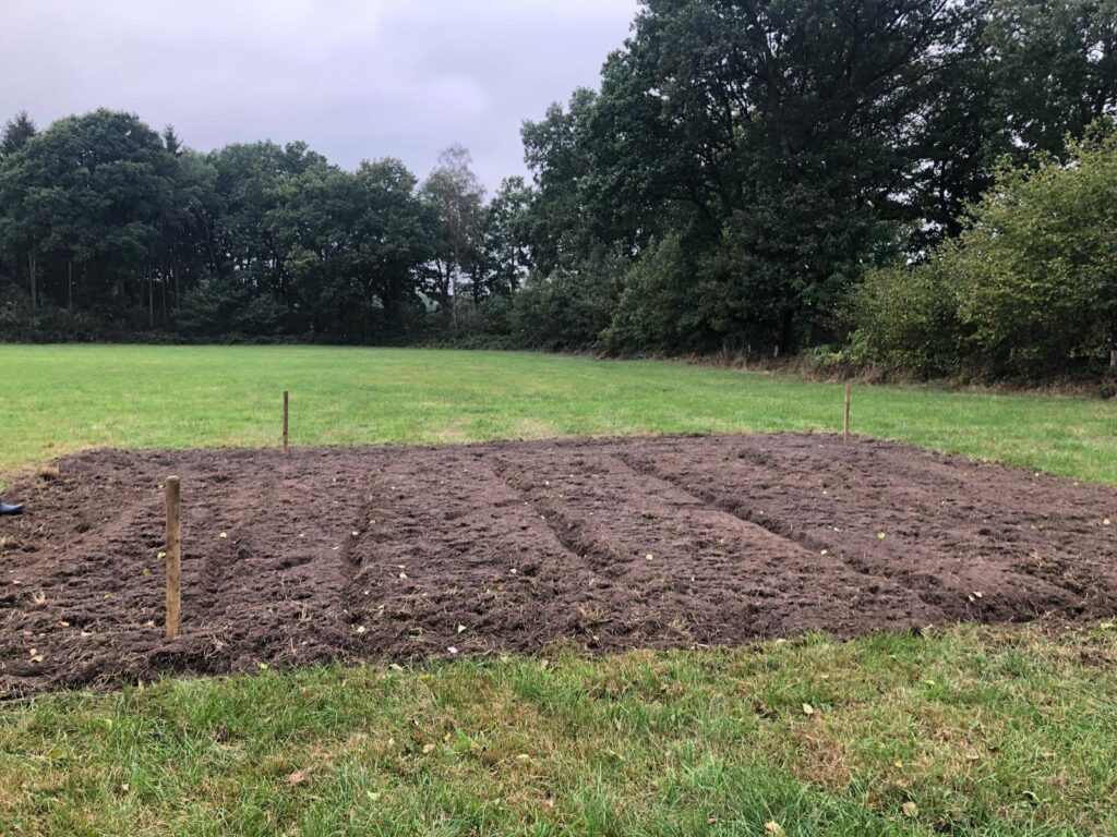Bönningstedt, Einheitsbuddeln 2021