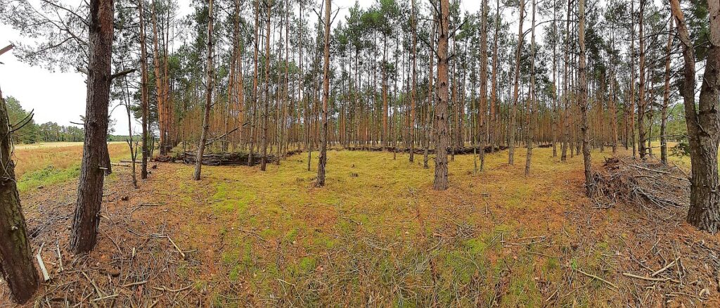 Burglehn – Freiwald