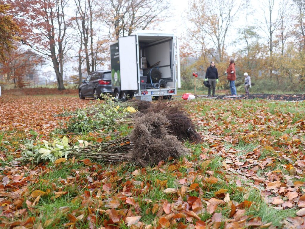 Harrislee Miyawakiwald im Pflückwald Harrislee