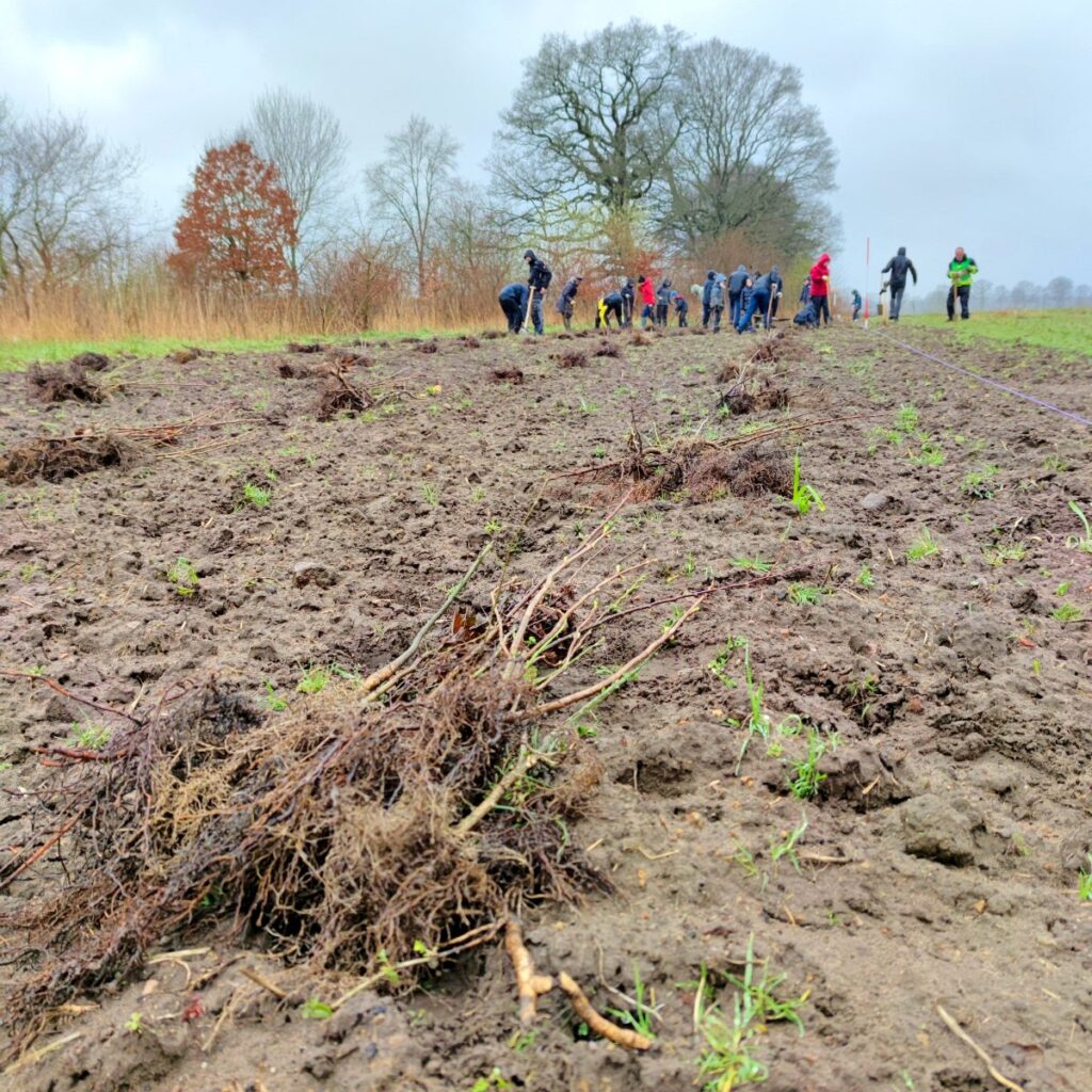 Klimawald Gut Wulksfelde, Tangstedt