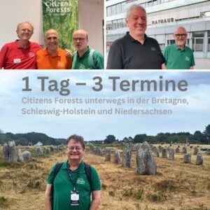 Drei Termine zu Miniwäldern nach der Miyawakimethode