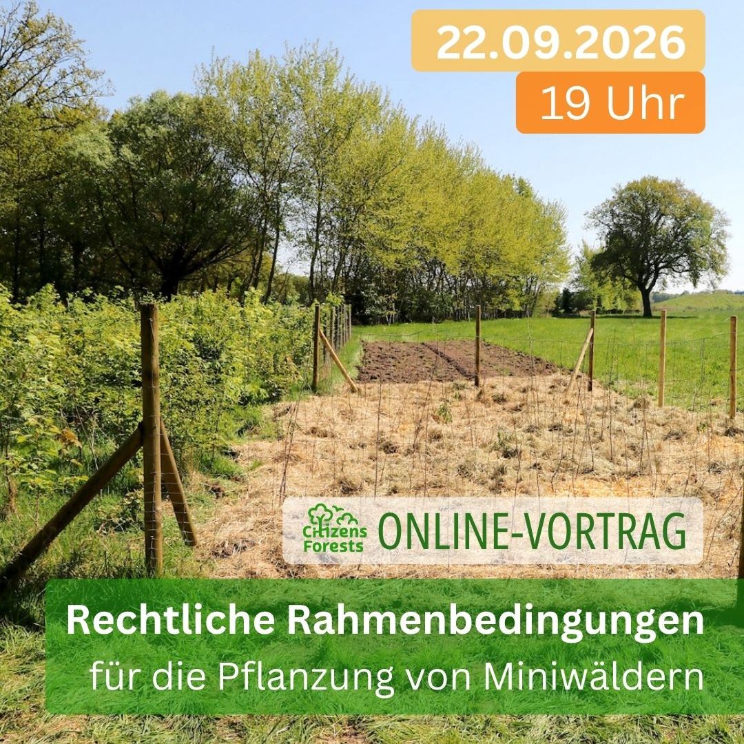 Rechtliche Rahmenbedingungen von Tiny Forests