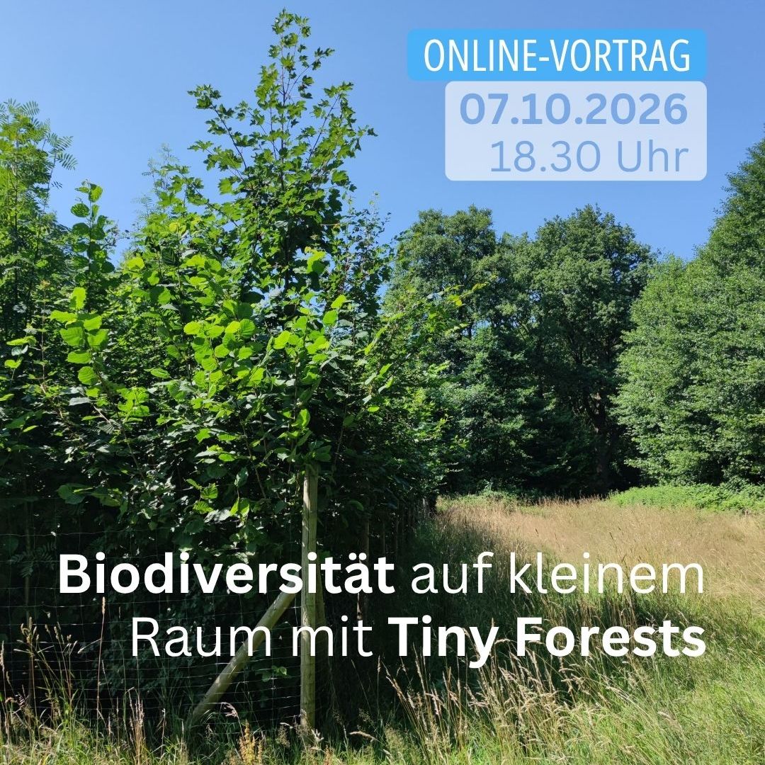 Biodiversität mit Tiny Forests