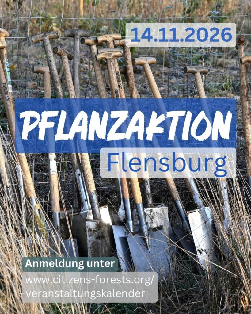 Pflanzaktion in Flensburg