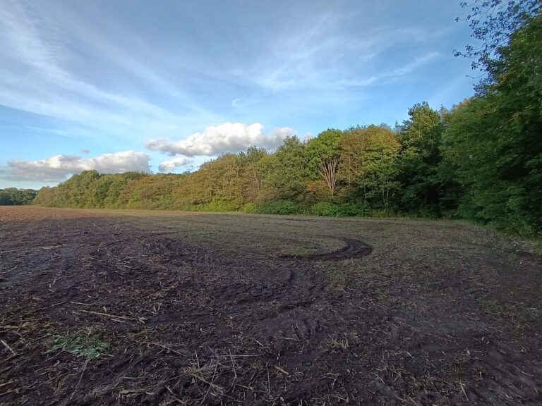 Pflanzflaeche am Vielohweg
