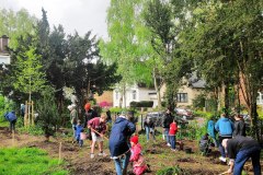 Der-Wald-wird-gepflanzt
