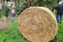 Ein-Rundballen-Stroh zum-Mulchen